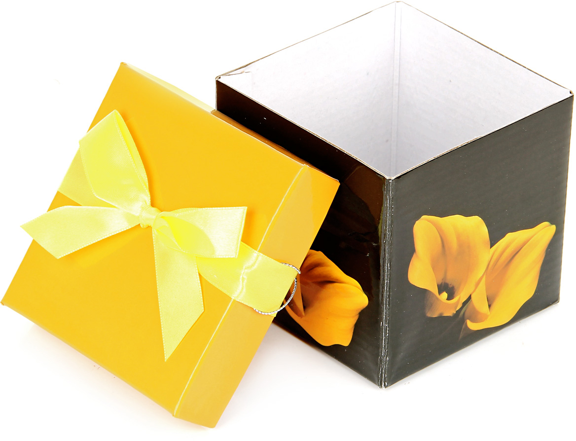 Коробка подарочная "Яркость", цвет: черный, 10,3 х 10,3 х 9,8 см