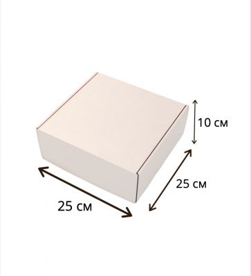 Коробка картонная 250х250х100 мм (Самосборная) белая