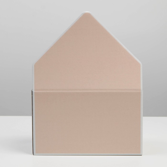 Коробка-письмо «Персиковая», 25 × 33 × 10 см