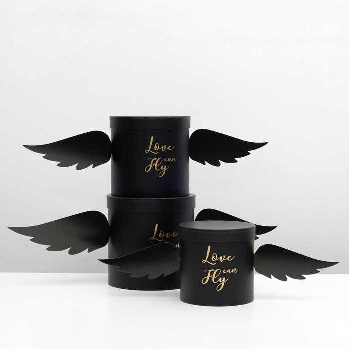 Набор подарочных коробок для цветов "Любовь умеет летать", чёрные, 3 шт