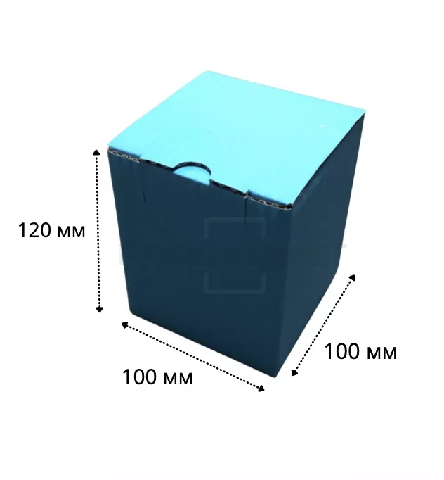 Маленькая коробка 100х100х120 мм Blumarine