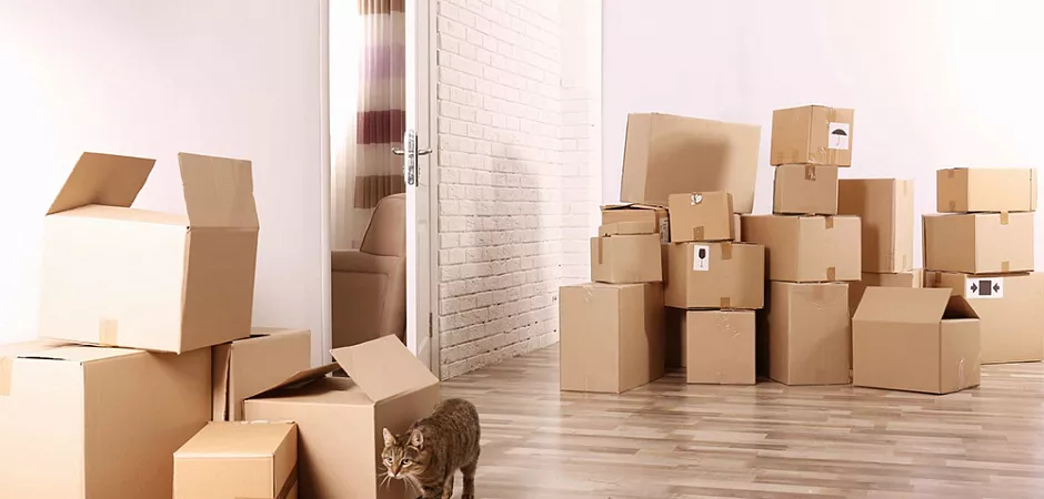 Как спланировать квартирный переезд